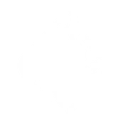 Firemonkeys Studios