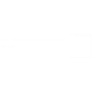Slightly Mad Studios
