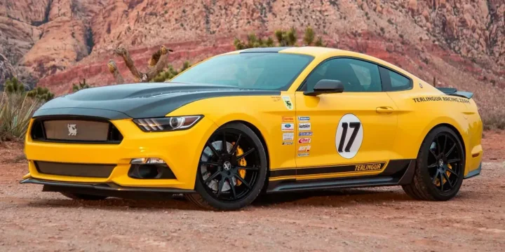 2015 Shelby Mustang Terlingua
