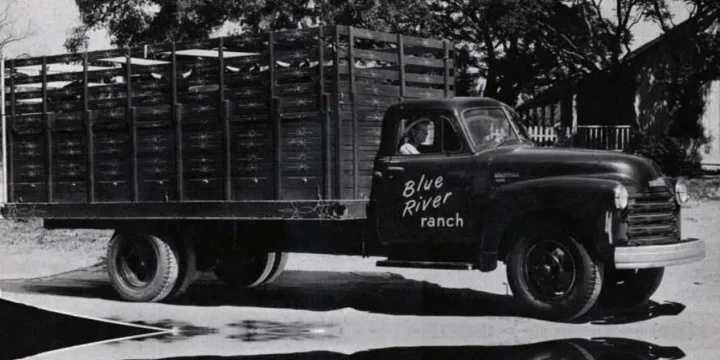 1951 Chevrolet Advance Design 6100/6400/6500/6702 3.9 Manual