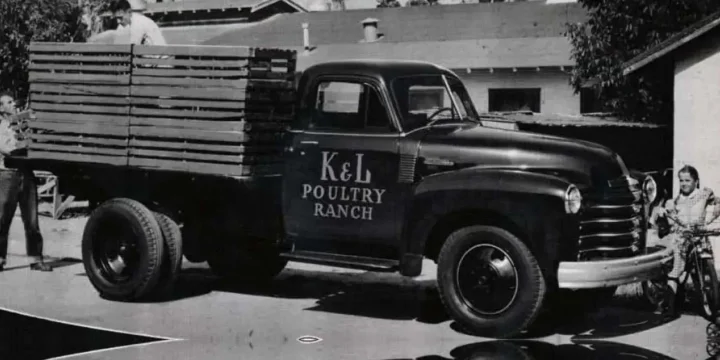1951 Chevrolet Advance Design 4100/4400/4502 3.9 Manual
