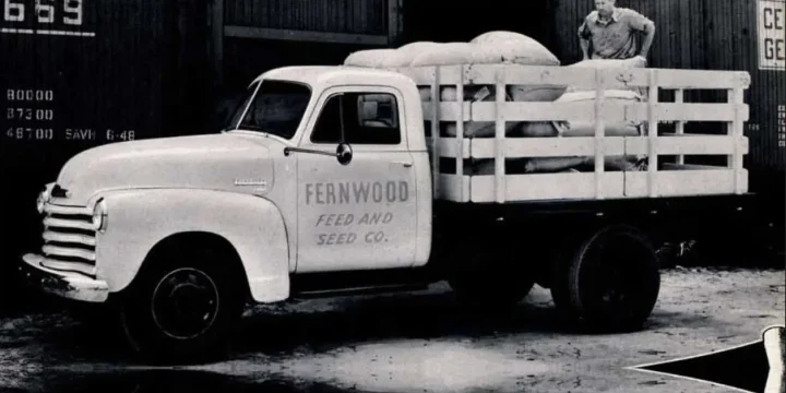 1951 Chevrolet Advance Design 3800 3.5 Manual