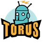 Torus Games
