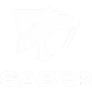 Saber Interactive