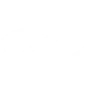 Zastava